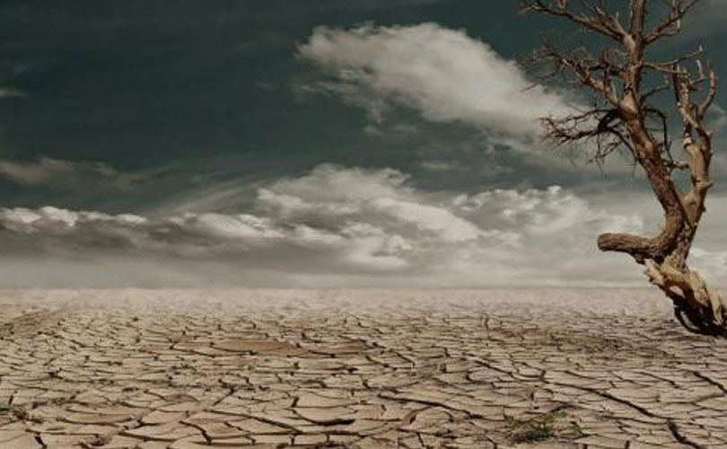 ചൂട് ഇനിയും കൂടും! ഈ വർഷം മധ്യത്തോടെ എൽ നിനോ എത്തുമെന്ന് ലോക കാലാവസ്ഥാ സംഘടന